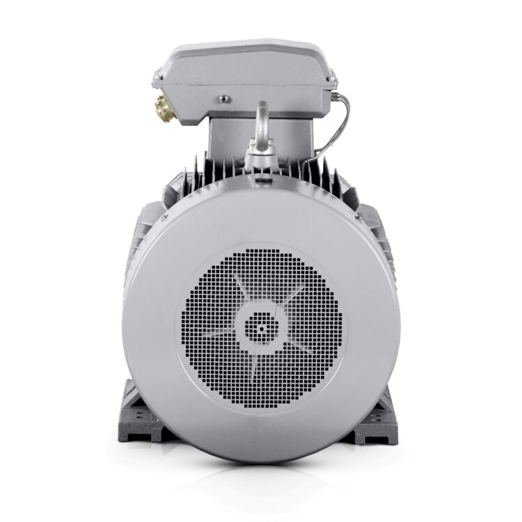 Motore elettrico 132 kW 400V/690V 3000 giri/min IE3-3LC Consegna gratuita Italia