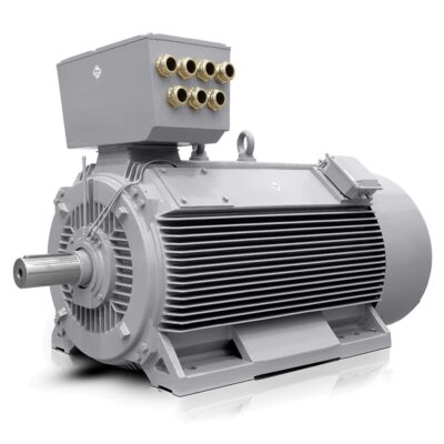 Motore elettrico a bassa tensione 800kW 400V/690V 3000 giri/min IE3-H17RL Italia Vendita