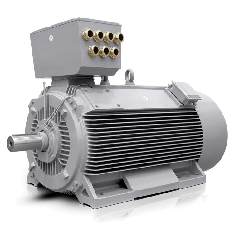 Motore elettrico a bassa tensione 800kW 400V/690V 3000 giri/min IE3-H17RL Italia Vendita