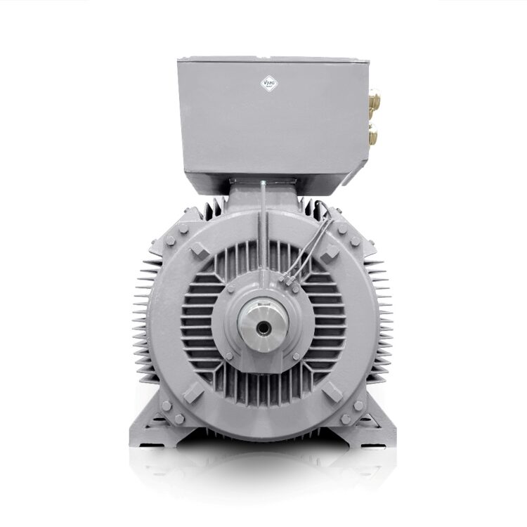 Motore elettrico a bassa tensione 800kW 400V/690V 3000 giri/min IE3-H17RL Italia Vendita