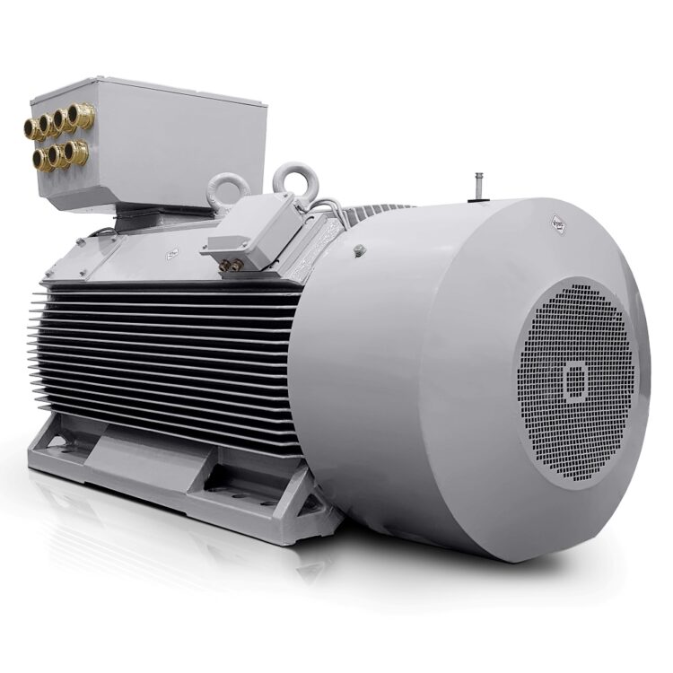 Motore elettrico a bassa tensione 800kW 400V/690V 3000 giri/min IE3-H17RL Italia Vendita