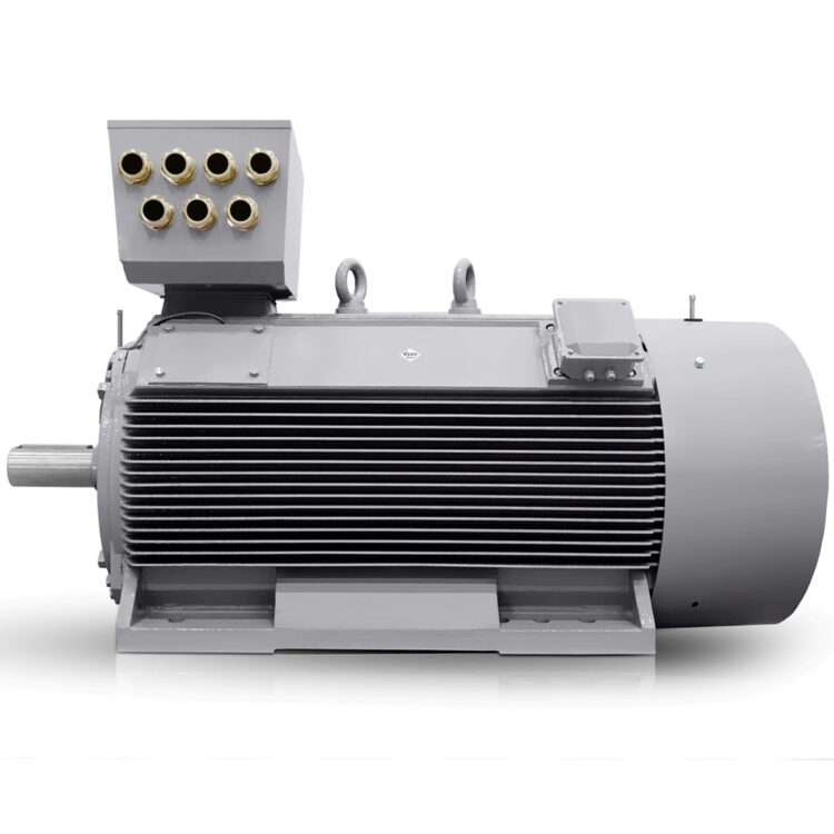 Motore elettrico a bassa tensione 800kW 400V/690V 3000 giri/min IE3-H17RL Italia Vendita